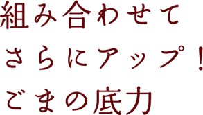 組み合わせてさらにアップ！ごまの底力