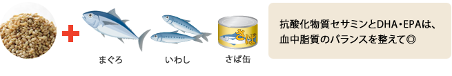 抗酸化物質セサミンとDHA・EPAは、血中脂質のバランスを整えて◎