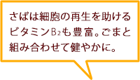 さばは細胞の再生を助けるビタミンB2も豊富。ごまと組み合わせて健やかに。