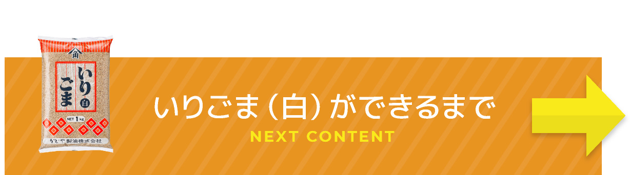 純正ごま油ができるまで