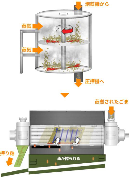 蒸煮・圧搾