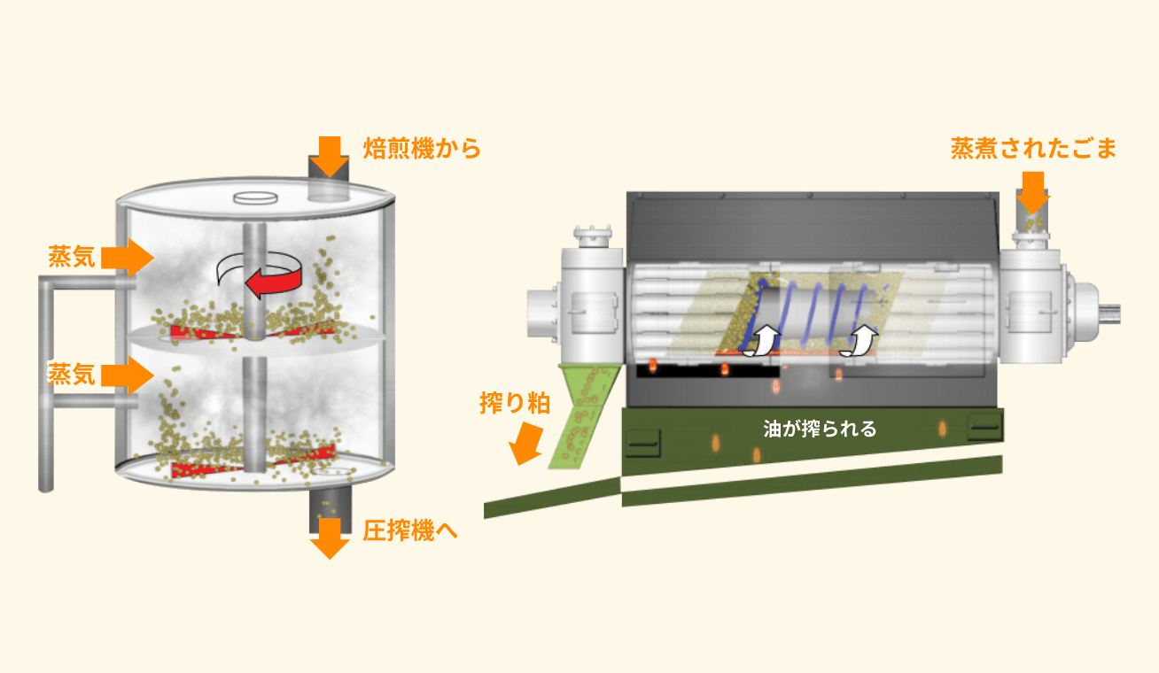 蒸煮・圧搾